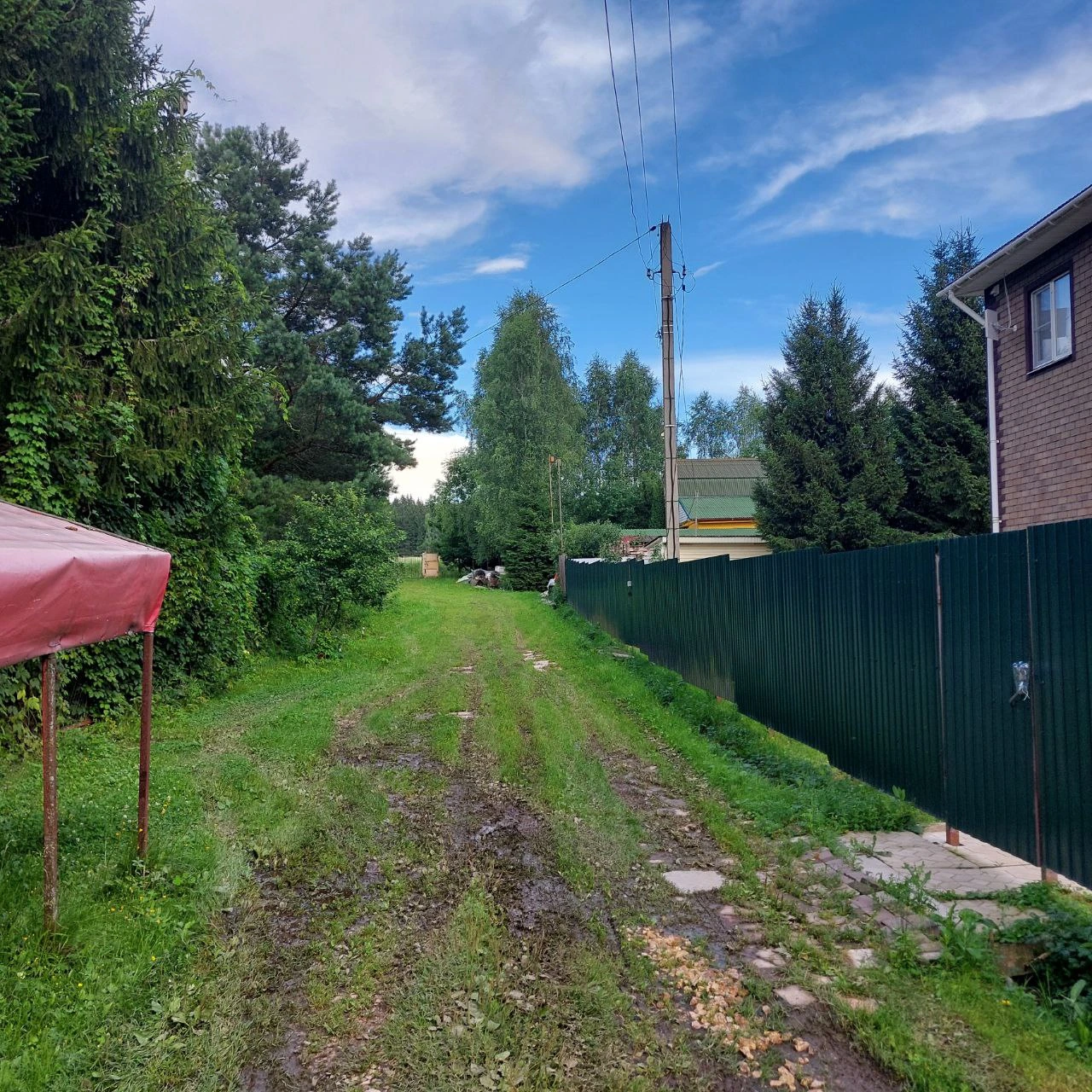 Волчий тупик