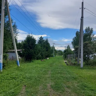 Улица Виктора Цоя