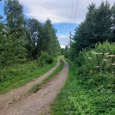 Центральная улица